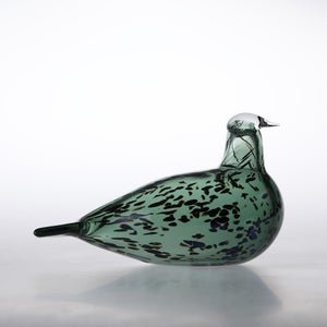 Birds Reed Warbler パイングリーン 0009