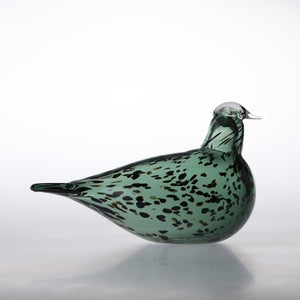 Birds Reed Warbler パイングリーン 0011