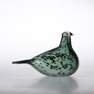 Birds Reed Warbler パイングリーン 0012