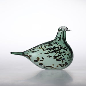 Birds Reed Warbler パイングリーン 0016