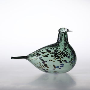 Birds Reed Warbler パイングリーン 0017