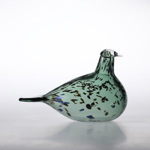 Birds Reed Warbler パイングリーン 0021