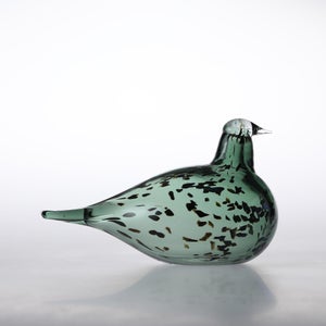 Birds Reed Warbler パイングリーン 0026