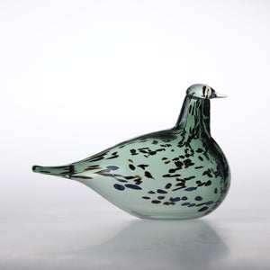 Birds Reed Warbler パイングリーン 0027