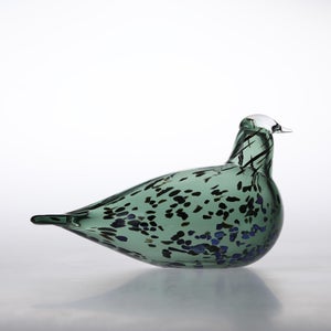 Birds Reed Warbler パイングリーン 0028