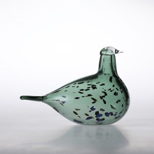 Birds Reed Warbler パイングリーン 0030