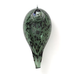 Birds Reed Warbler パイングリーン 0006