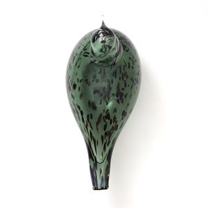 Birds Reed Warbler パイングリーン 0011