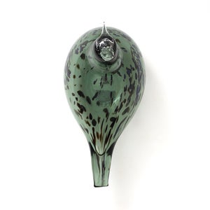 Birds Reed Warbler パイングリーン 0016