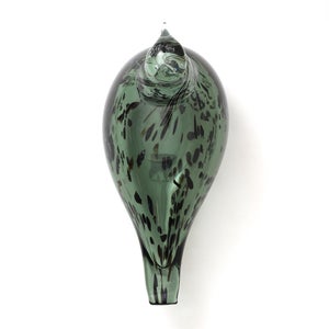 Birds Reed Warbler パイングリーン 0028