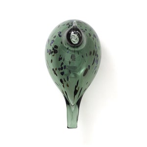 Birds Reed Warbler パイングリーン 0030