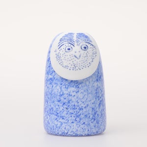 Birds Rospuutto owl ブルー 0056