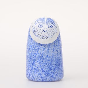 Birds Rospuutto owl ブルー 0059