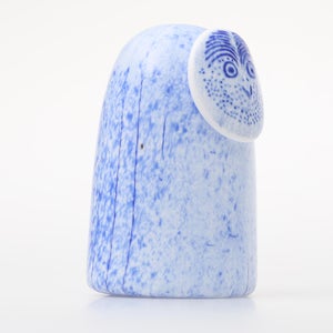 Birds Rospuutto owl ブルー 0009