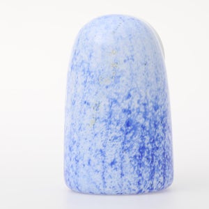 Birds Rospuutto owl ブルー 0020