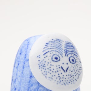 Birds Rospuutto owl ブルー 0033
