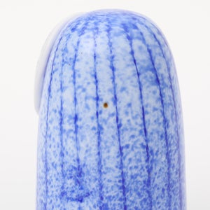 Birds Rospuutto owl ブルー 0036