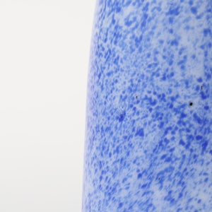 Birds Rospuutto owl ブルー 0038