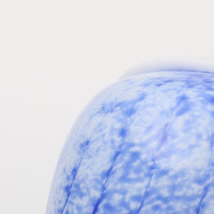 Birds Rospuutto owl ブルー 0059