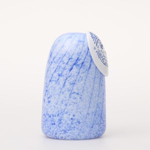 Birds Rospuutto owl ブルー 0037