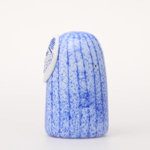 Birds Rospuutto owl ブルー 0036