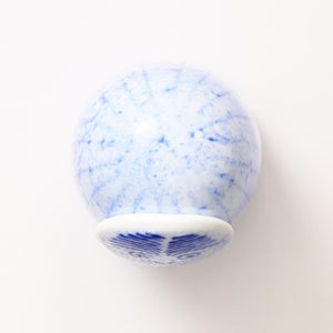 Birds Rospuutto owl ブルー 0001