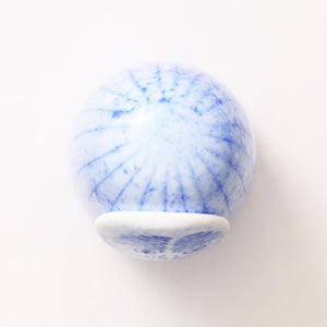 Birds Rospuutto owl ブルー 0005