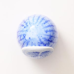 Birds Rospuutto owl ブルー 0008