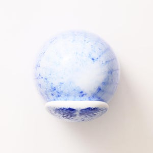 Birds Rospuutto owl ブルー 0009