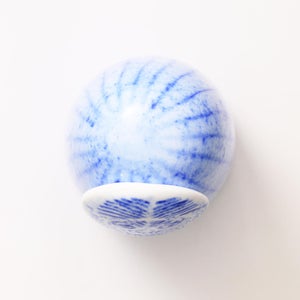 Birds Rospuutto owl ブルー 0010