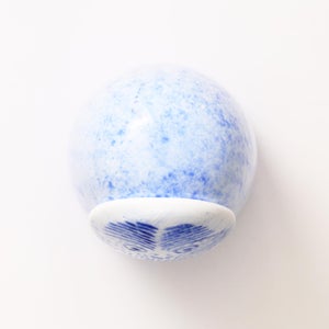 Birds Rospuutto owl ブルー 0020