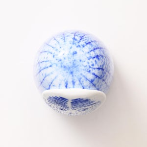 Birds Rospuutto owl ブルー 0040