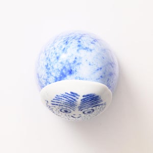 Birds Rospuutto owl ブルー 0059