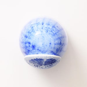 Birds Rospuutto owl ブルー 0063