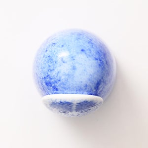 Birds Rospuutto owl ブルー 0064