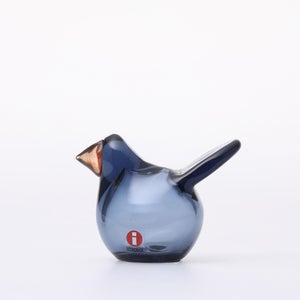 omk Birds Sieppo レイン×レッド 0557