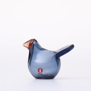 omk Birds Sieppo レイン×レッド 0563