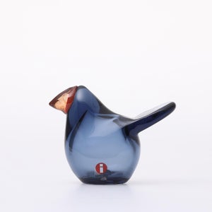 omk Birds Sieppo レイン×レッド 0566