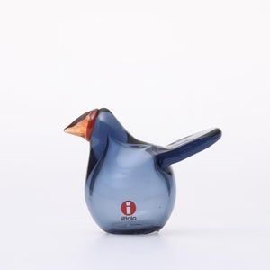 omk Birds Sieppo レイン×レッド 0569