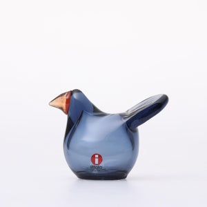 omk Birds Sieppo レイン×レッド 0571