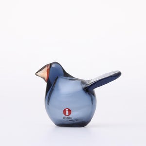 omk Birds Sieppo レイン×レッド 0572