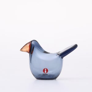 omk Birds Sieppo レイン×レッド 0592