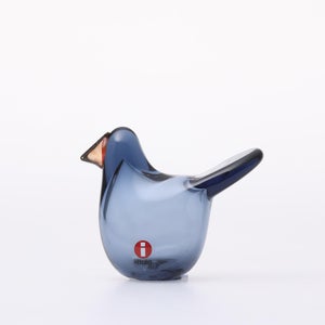 omk Birds Sieppo レイン×レッド 0594