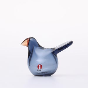 omk Birds Sieppo レイン×レッド 0607