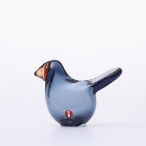 omk Birds Sieppo レイン×レッド 0611