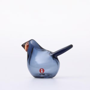 omk Birds Sieppo レイン×レッド 0621