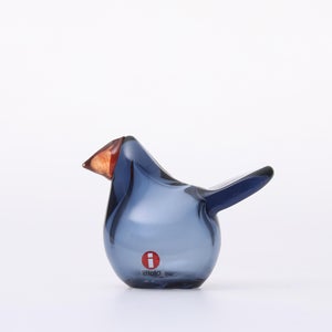 Birds Sieppo レイン×レッド 0624