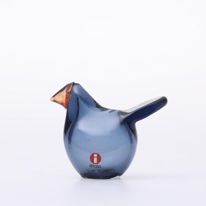 Birds Sieppo レイン×レッド 0628