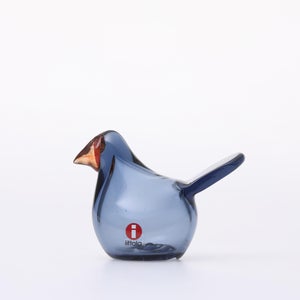 Birds Sieppo レイン×レッド 0640