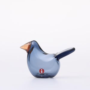 Birds Sieppo レイン×レッド 0648